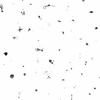Microscopic view of various small particles and organisms on a white background.