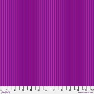 tiny stripes aster